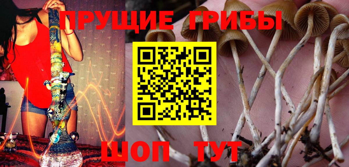 Учалы  Псилоцибиновые грибы MAGIC MUSHROOMS  Вход с VPN 